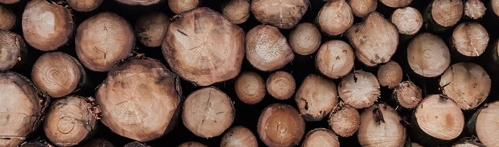 FSC & PEFC - bæredygtigt tømmer